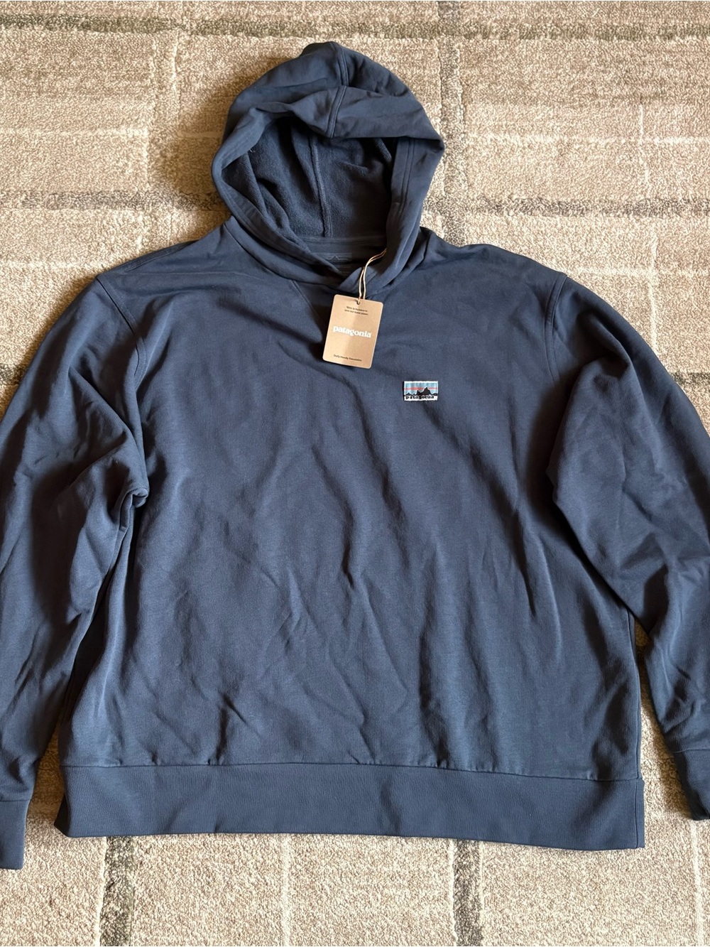 Patagonia Men's Daily Hoody Sweatshirt Smolder Blue Large NWT